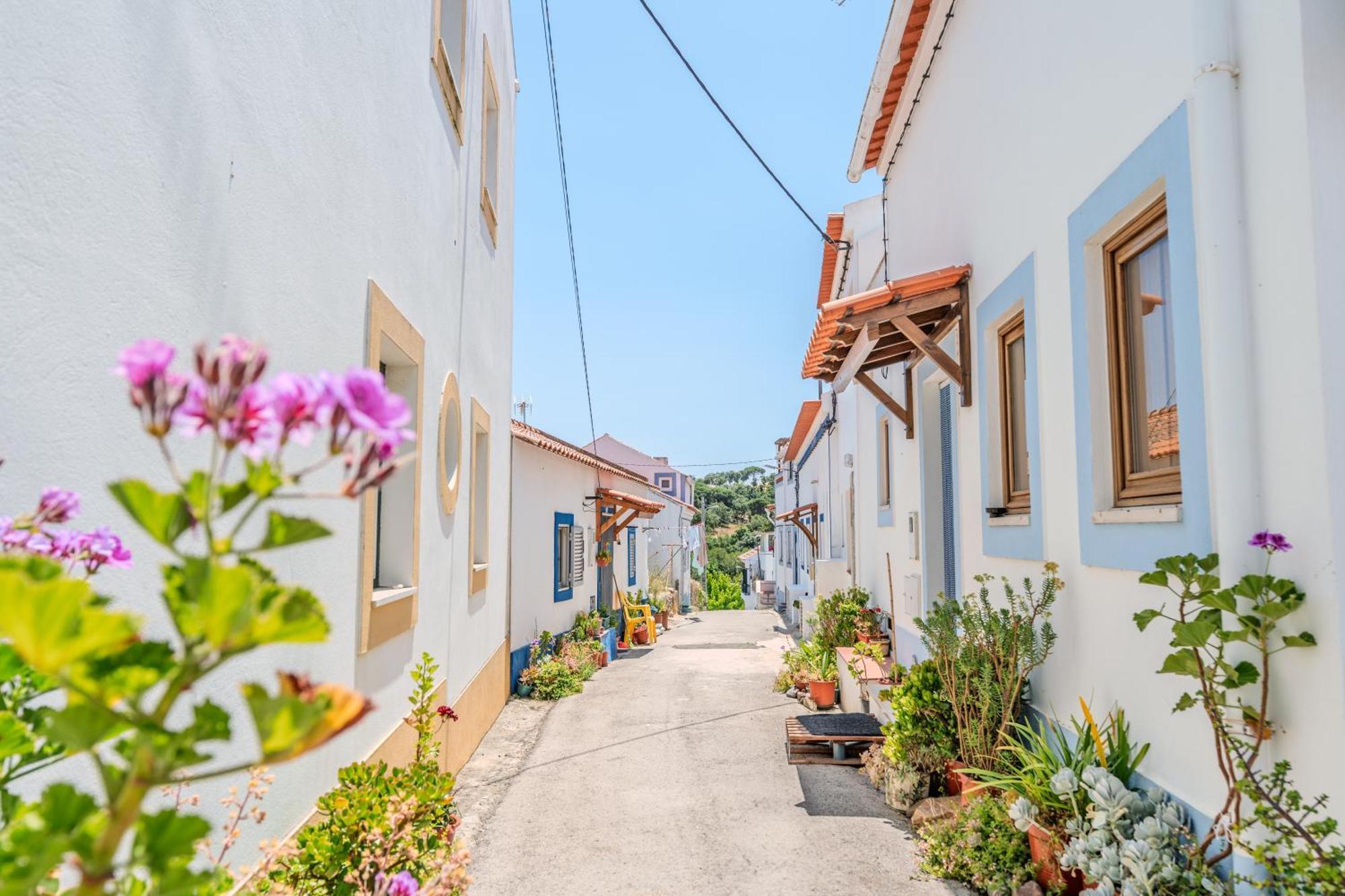 فيلا Casa Dos Rosas ميليد المظهر الخارجي الصورة
